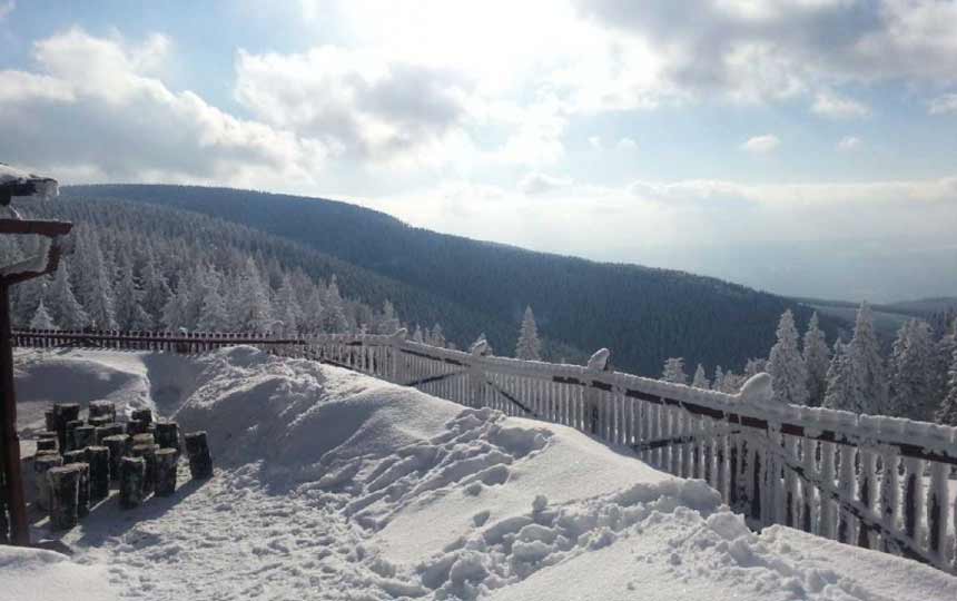 Trasa Biegowa na Śnieżnik